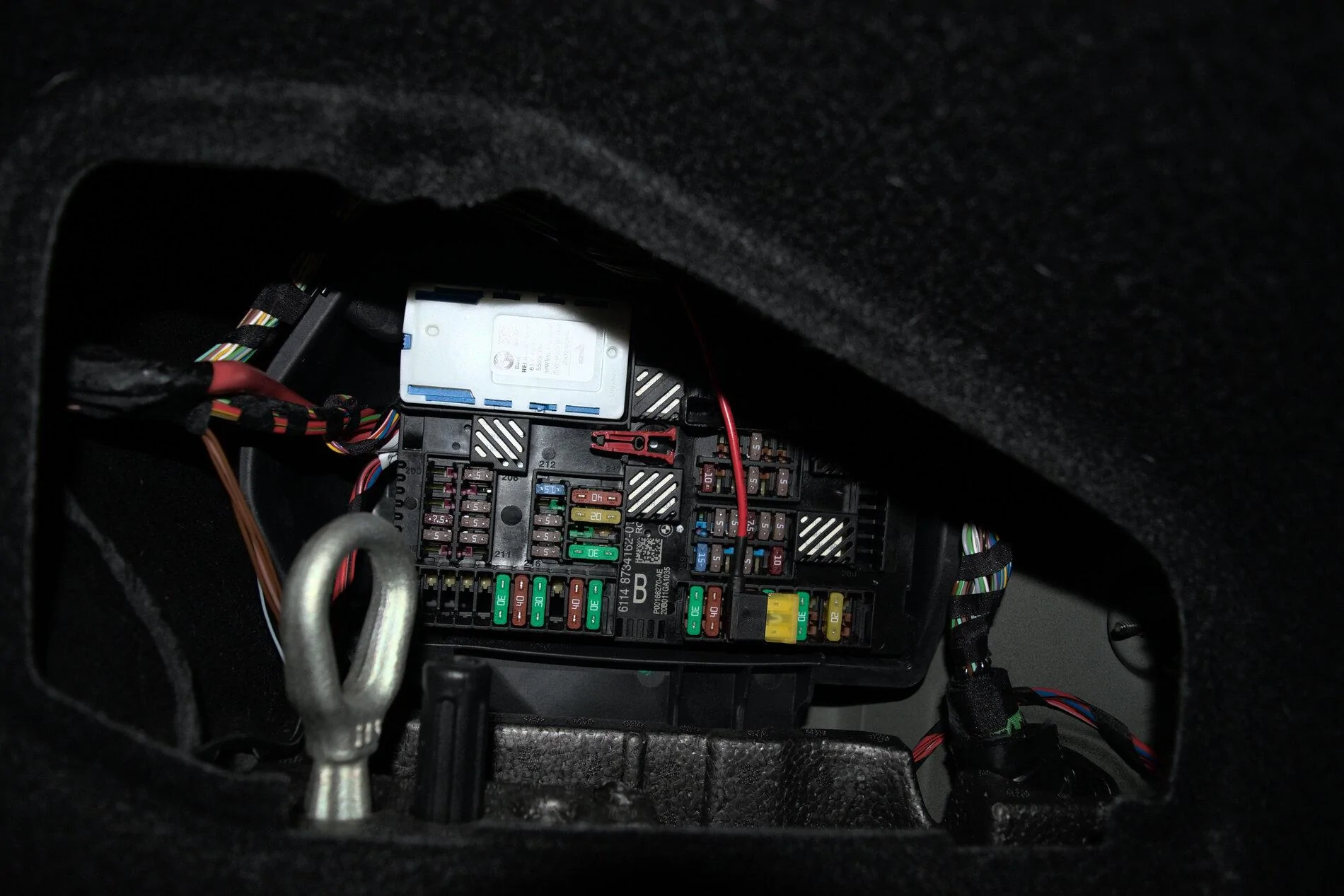 DSC_0113.webp