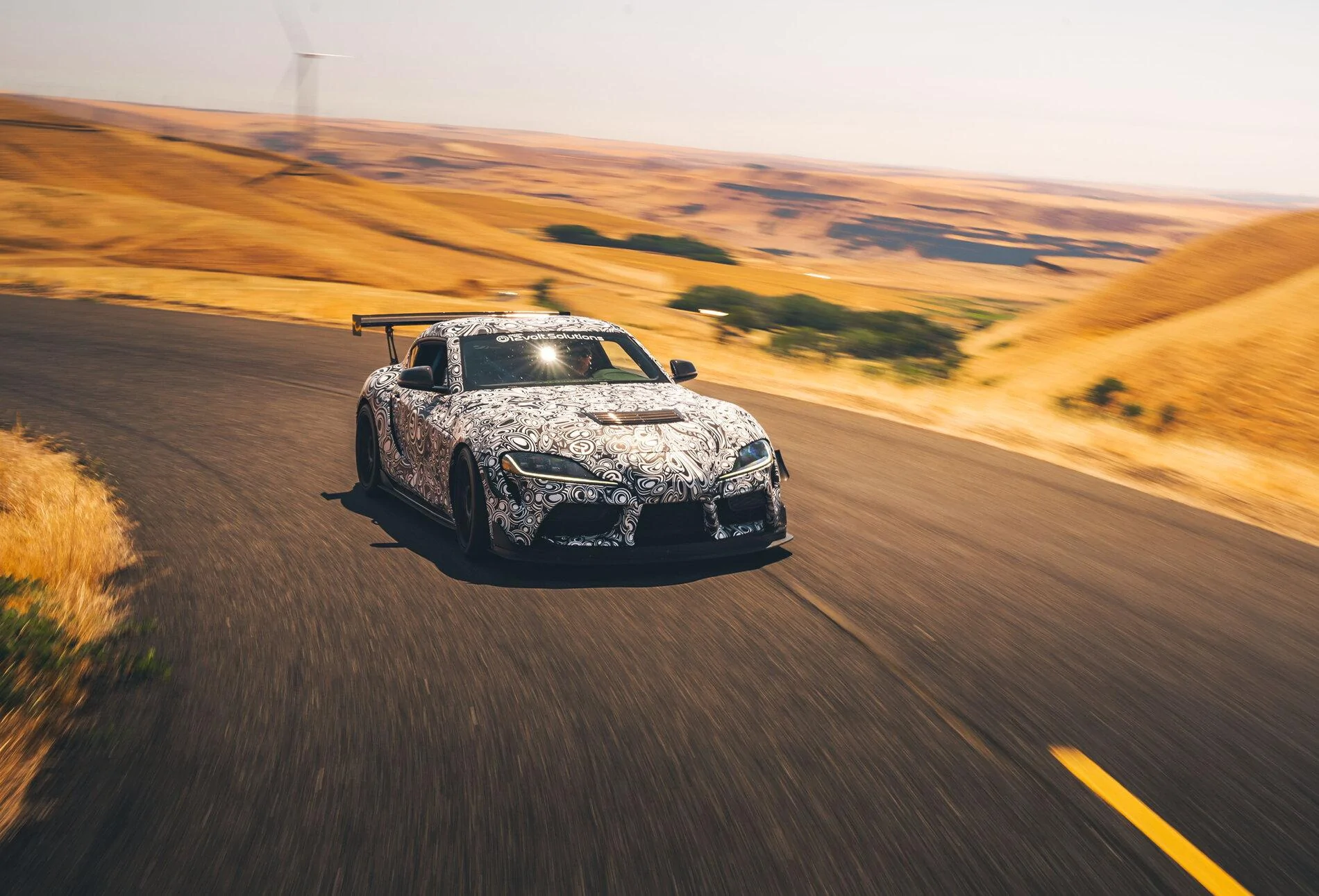 DSC06881.webp