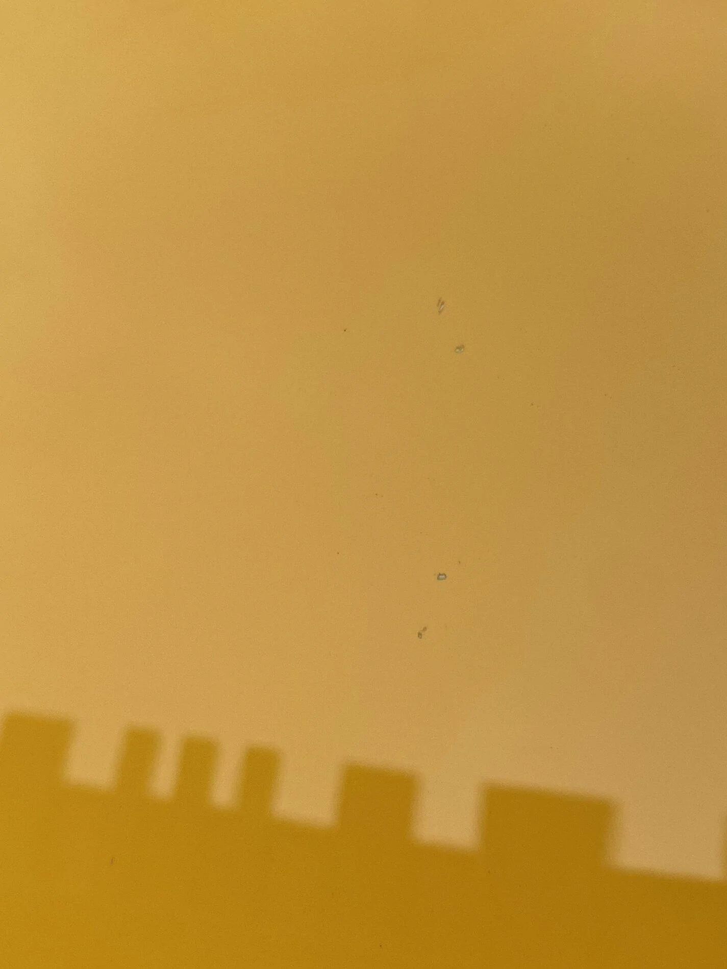 BEC1A6B4-031C-4E92-A767-11169035DF70.jpeg