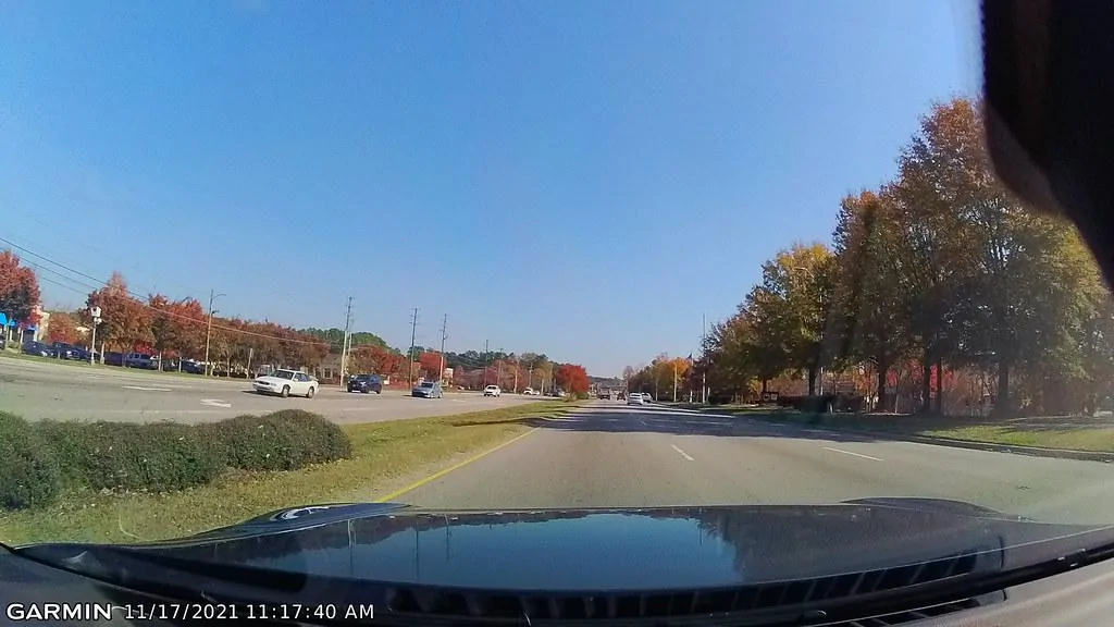 51687352939_9e46963ce0_b.jpg