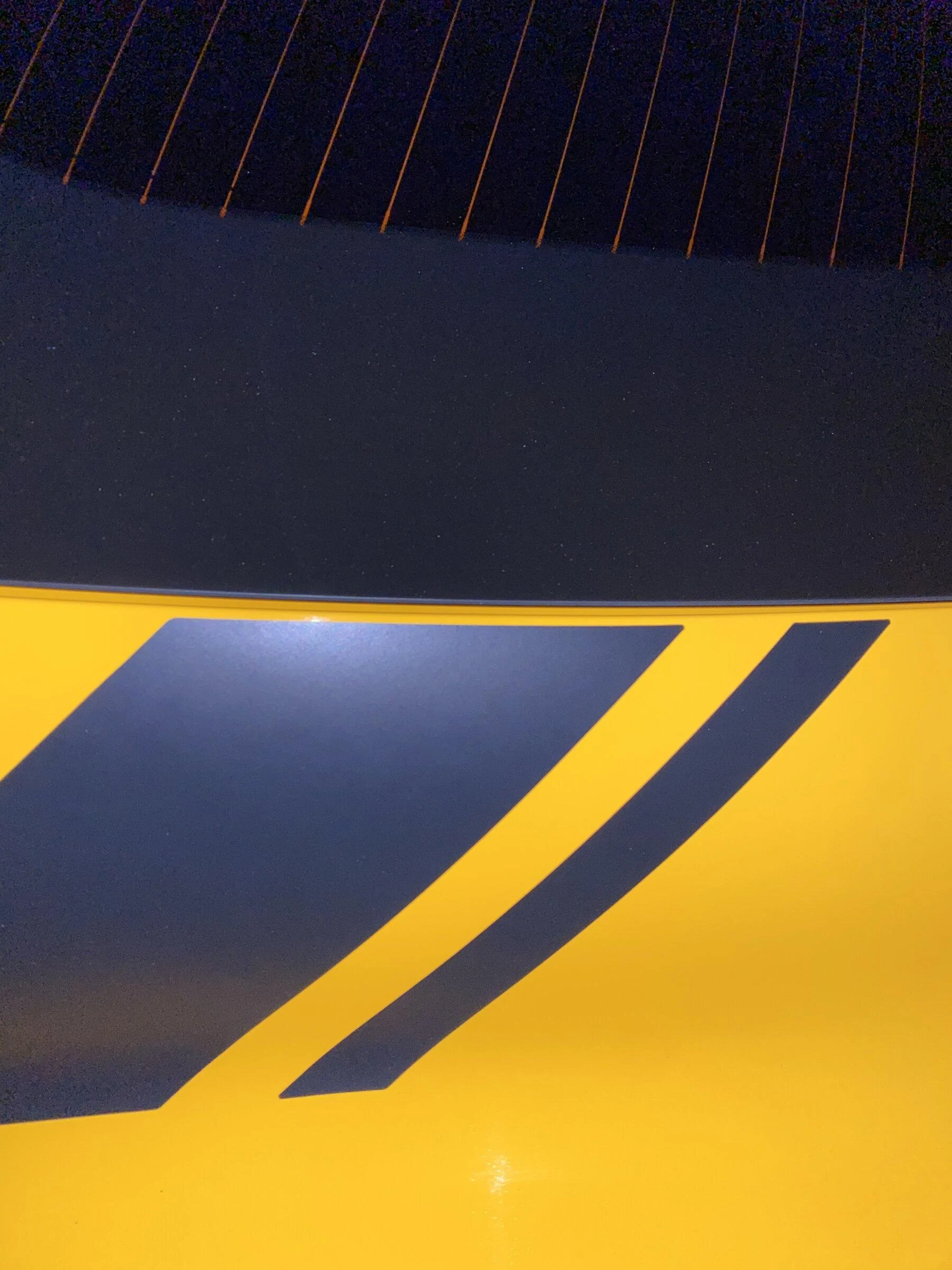 727E82F0-EF69-4D64-8E56-DB1C48C8542C.jpeg