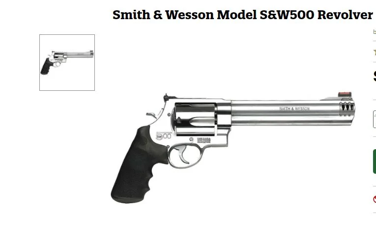 SW500.JPG