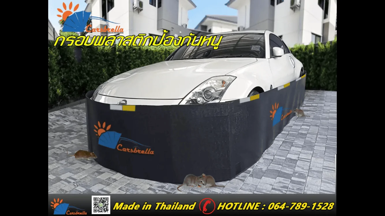 3396780C-F373-4B24-8757-E340A800AC30.webp
