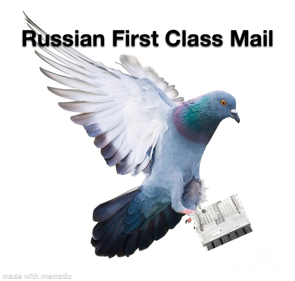 9C81510A-0EC8-4511-9D96-935E731D5644.webp