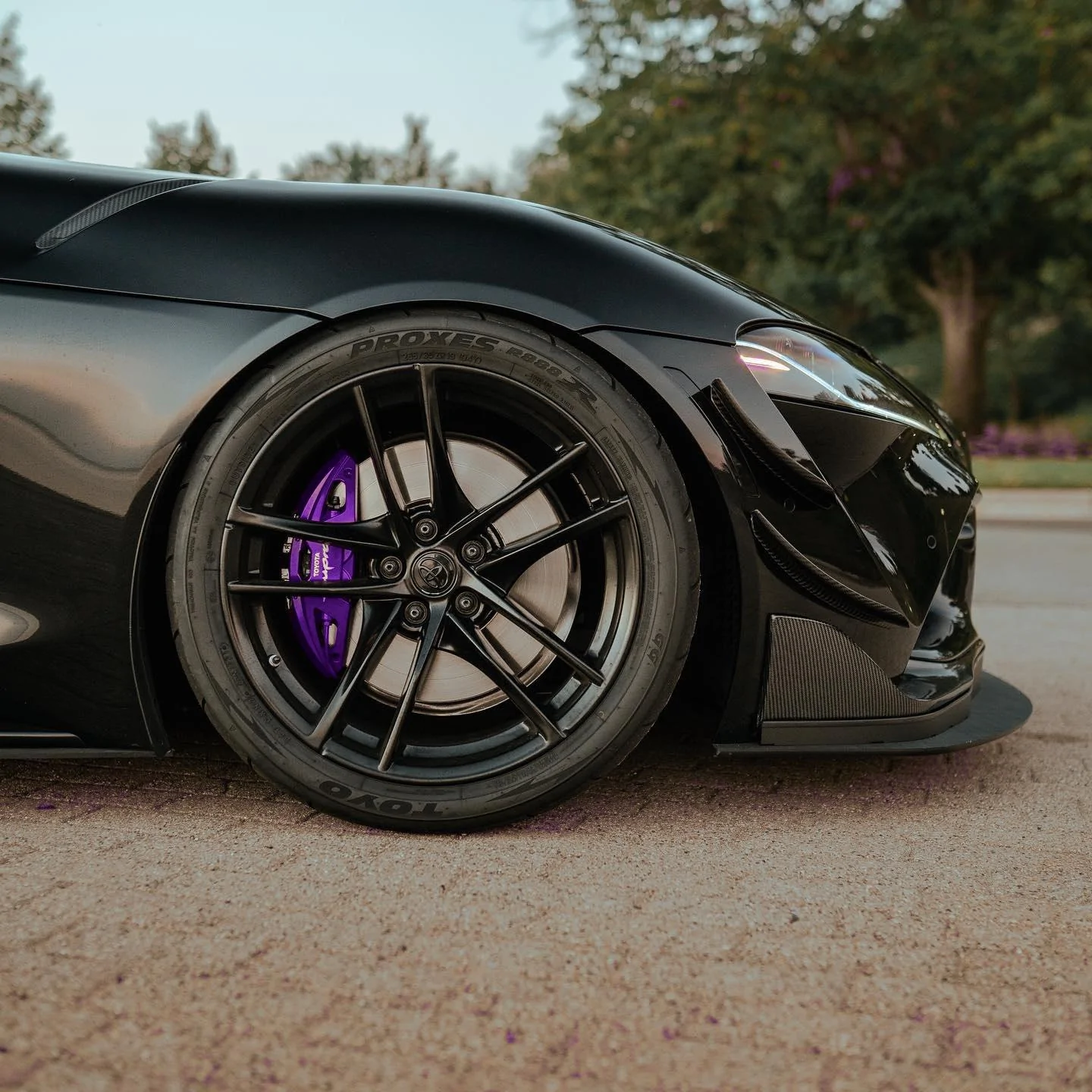 purple-still.webp