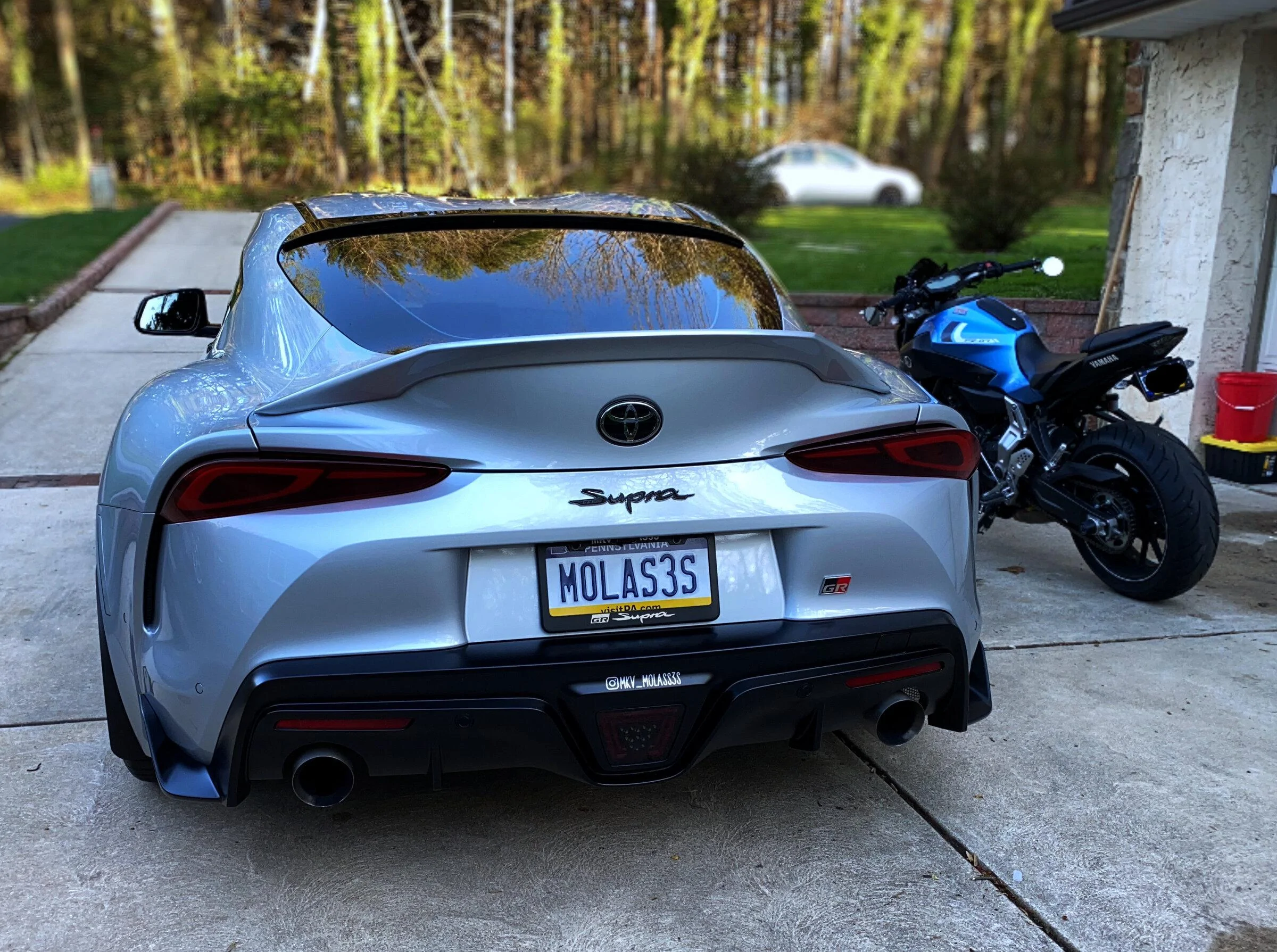 backs_full.webp