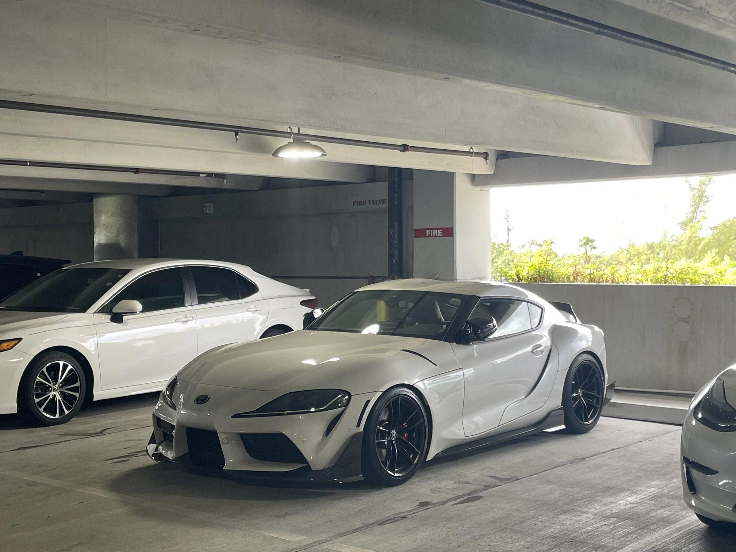 4C6F99BC-F2C2-4836-B46E-8C234A0D4CFE.webp