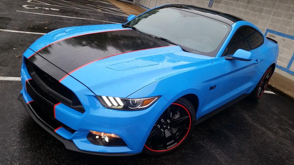mustang%20new%20stripe-3-XL.jpg