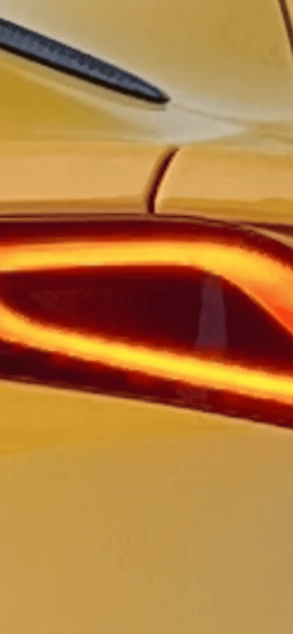 938099D9-36BA-4052-A651-7DB34854F745.png