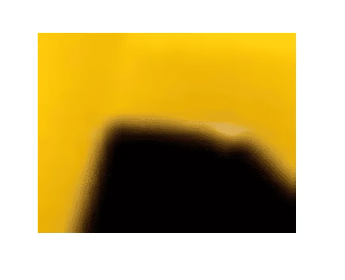 Untitled.webp