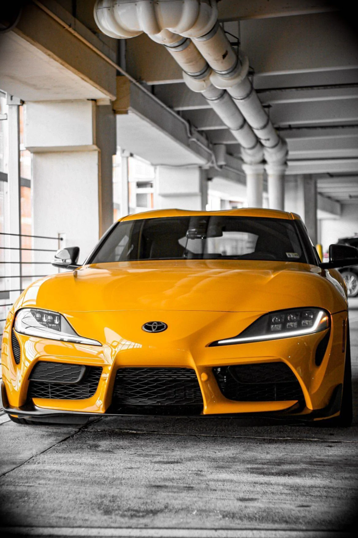 202A74F0-6793-44AA-95E2-08DD6CB268E3.webp