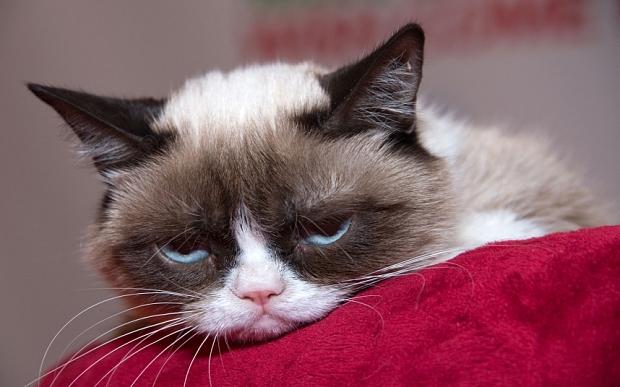 grumpy tired.jpg
