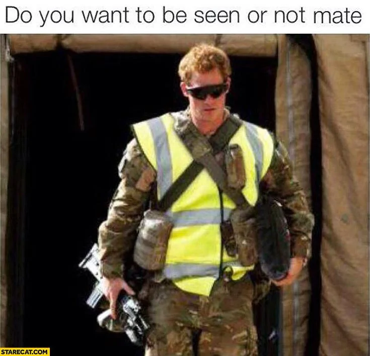 do-you-want-to-be-seen-or-not-mate-camouflage-safety-vest.webp