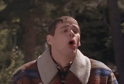 MisguidedDifficultFlyinglemur-size_restricted.gif