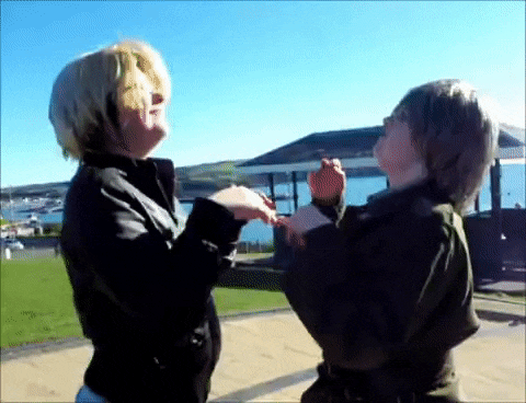 bitch fight.gif