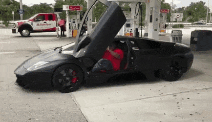 Fat Lambo.gif