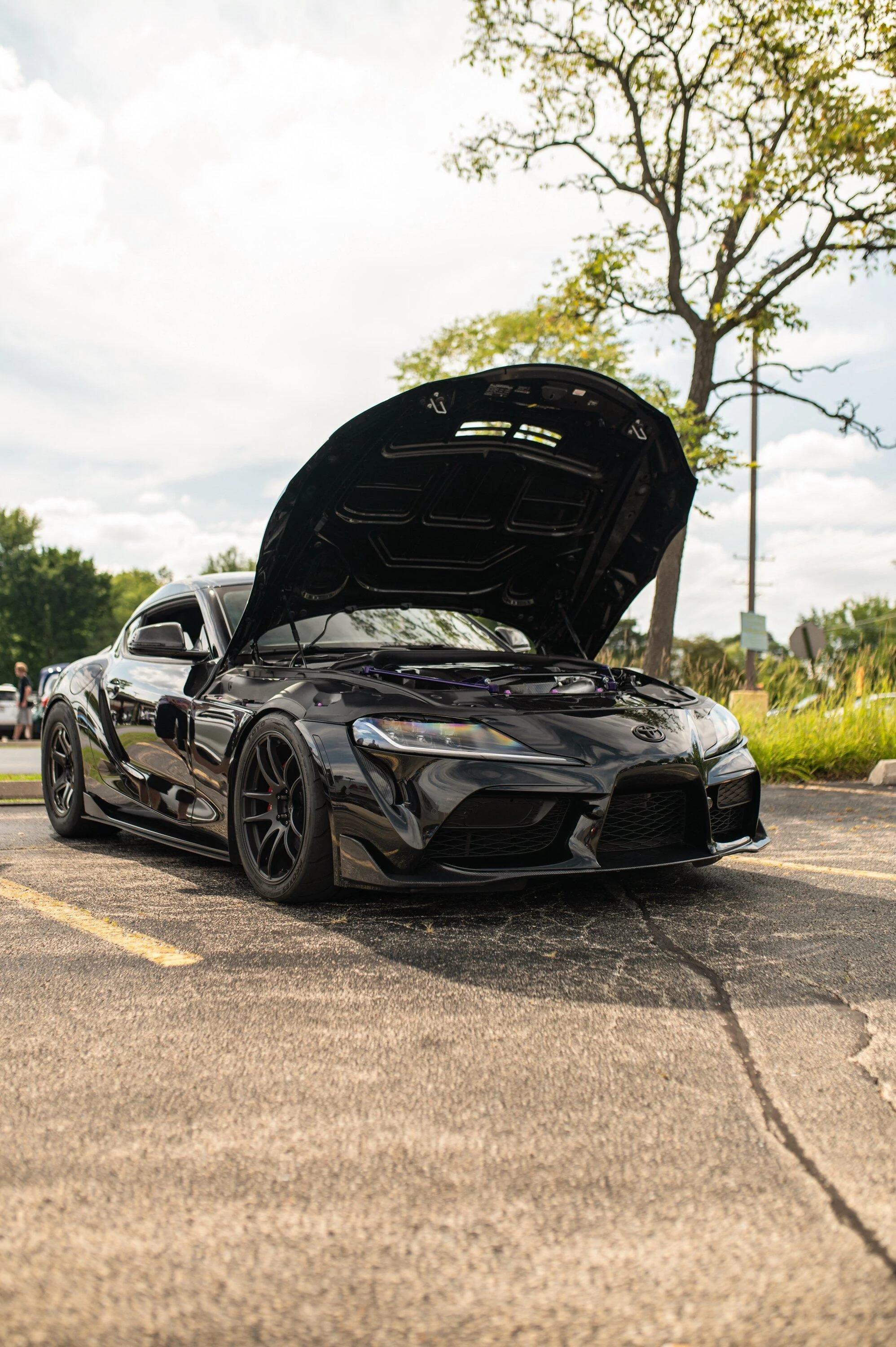 meza_3308-lowres.jpg