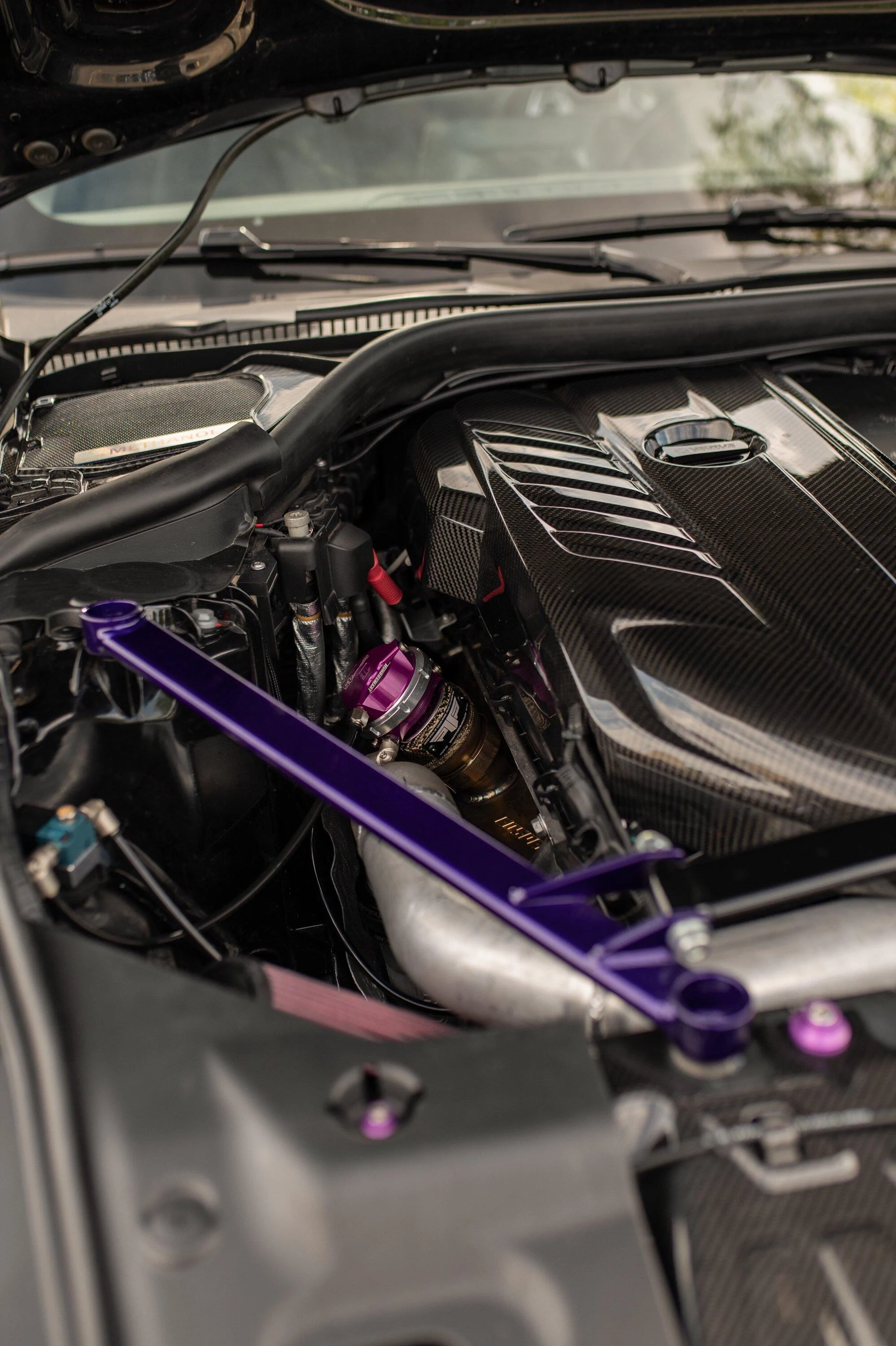 meza_3309-lowres.jpg