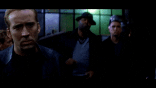 BruisedPerkyGlobefish-max-1mb.gif