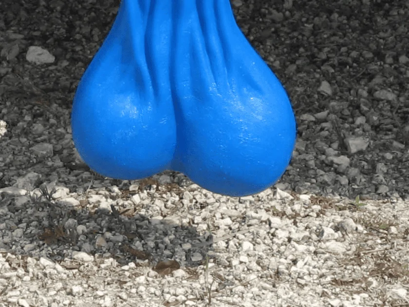 1664991056732.webp