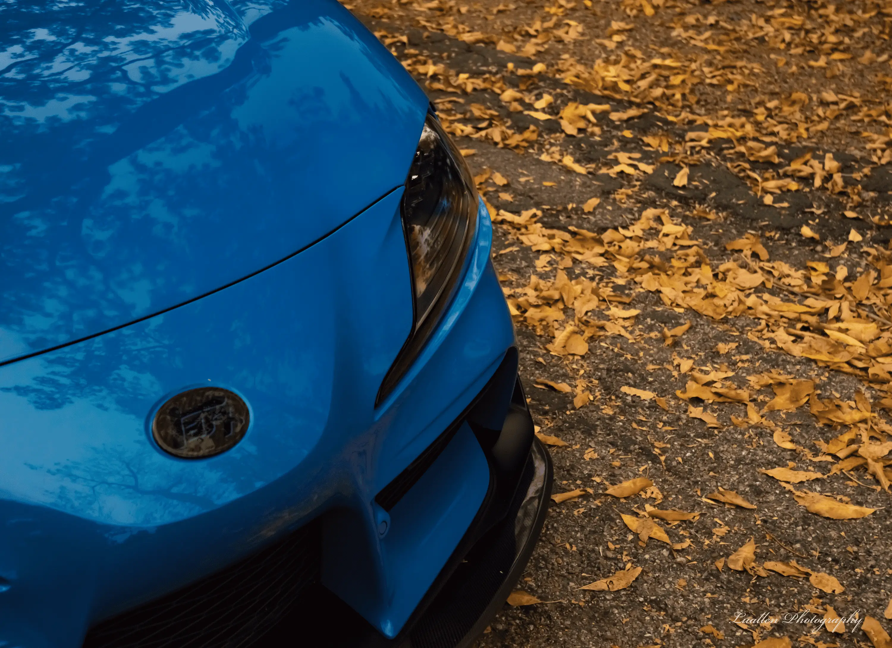 Supra14.webp