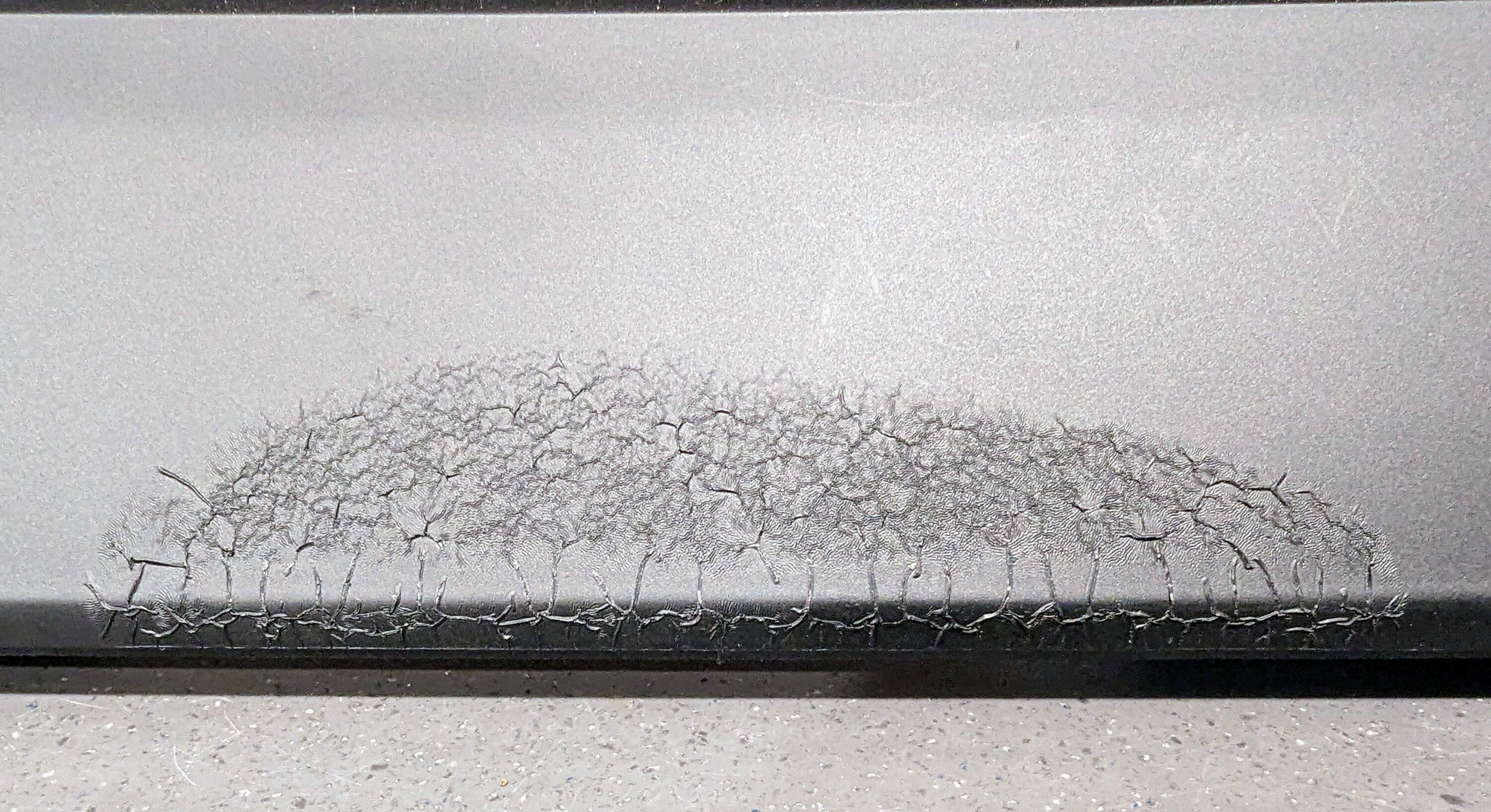 PXL_20221018_020833974.jpg