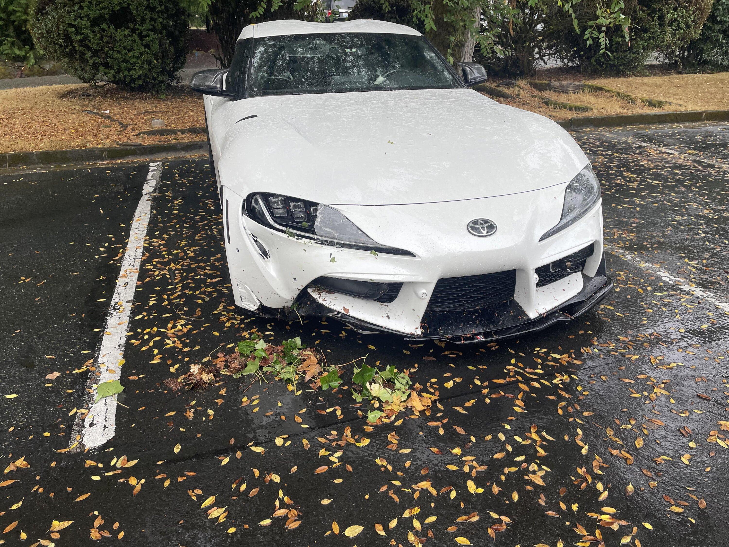 bumper-min.jpg