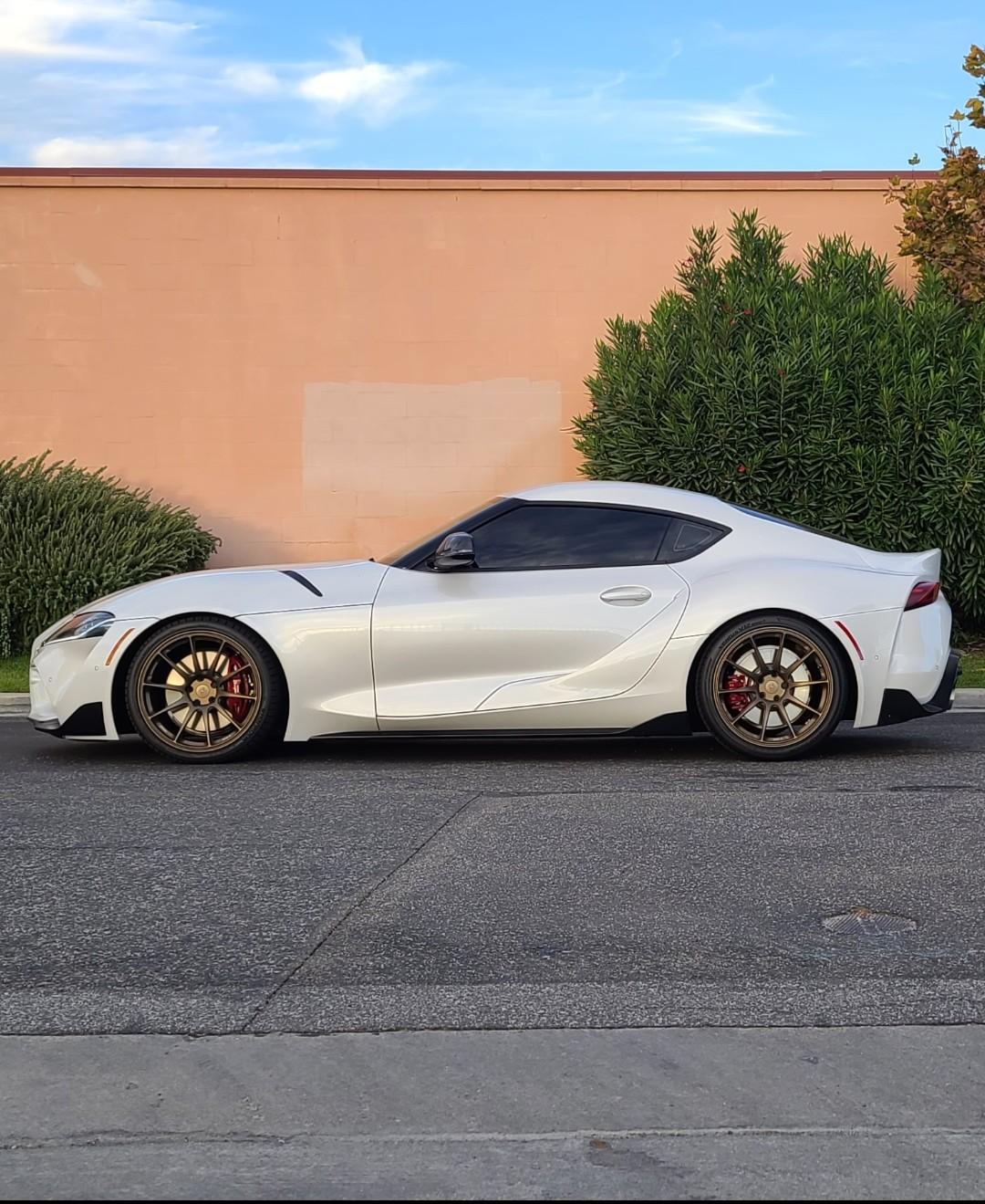 supra 2.jpg