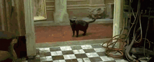 whoa-deja.gif