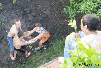 1671477830686.gif