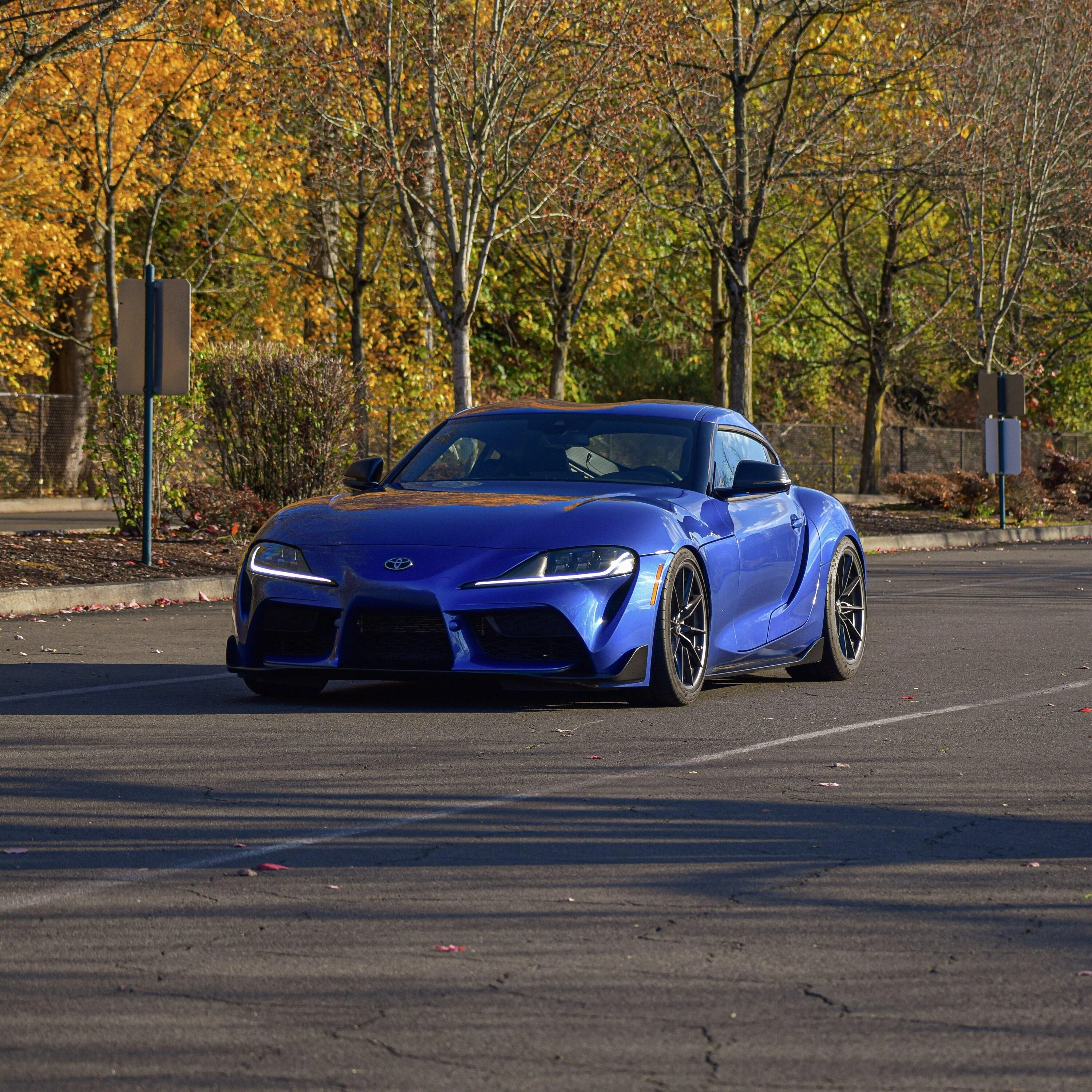 IMG_20221110_094219_560.webp