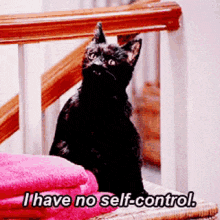 salem-cat.gif