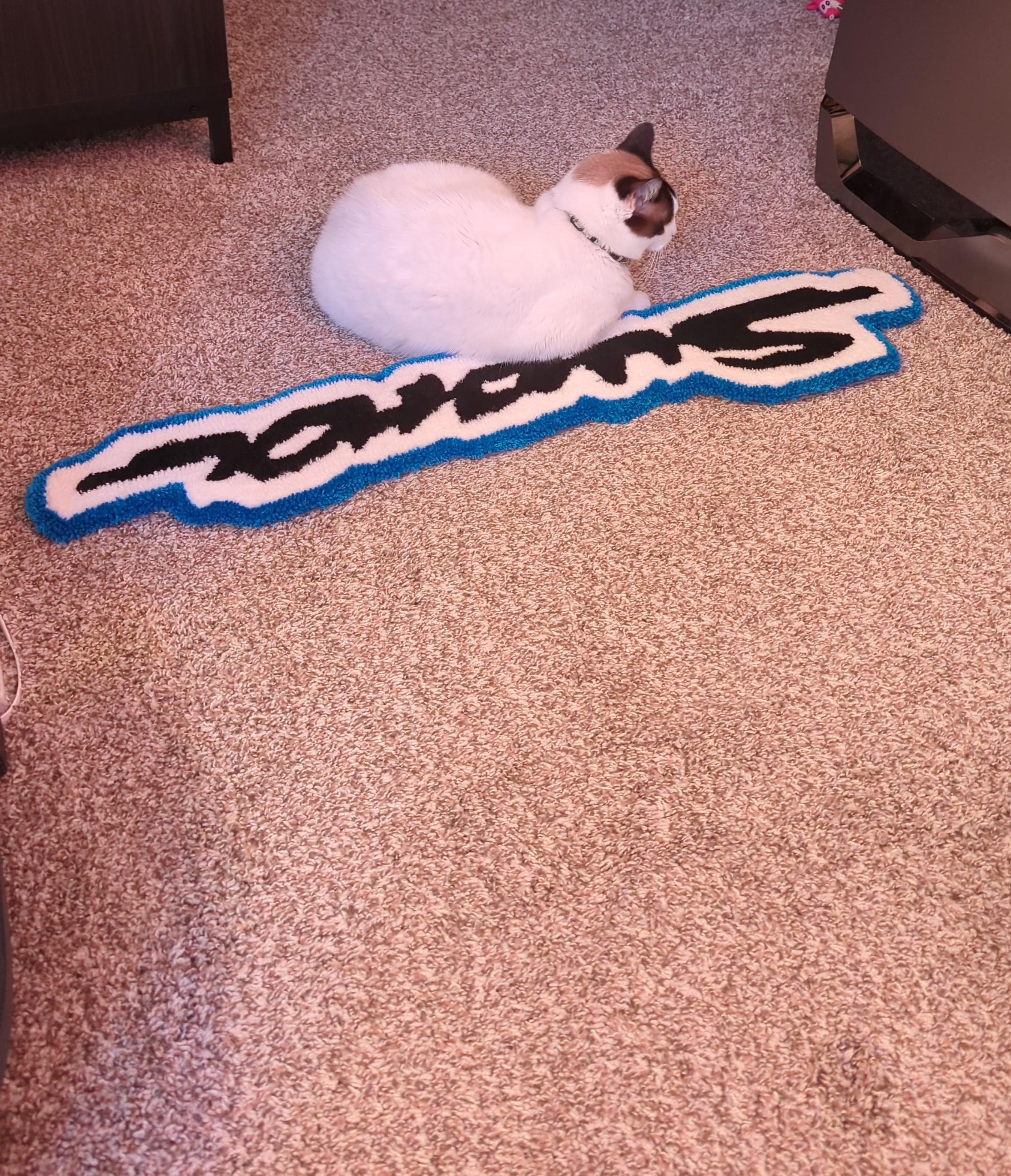 IMG-20230209-WA0002~2.jpeg
