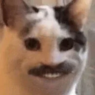 4584.jpg