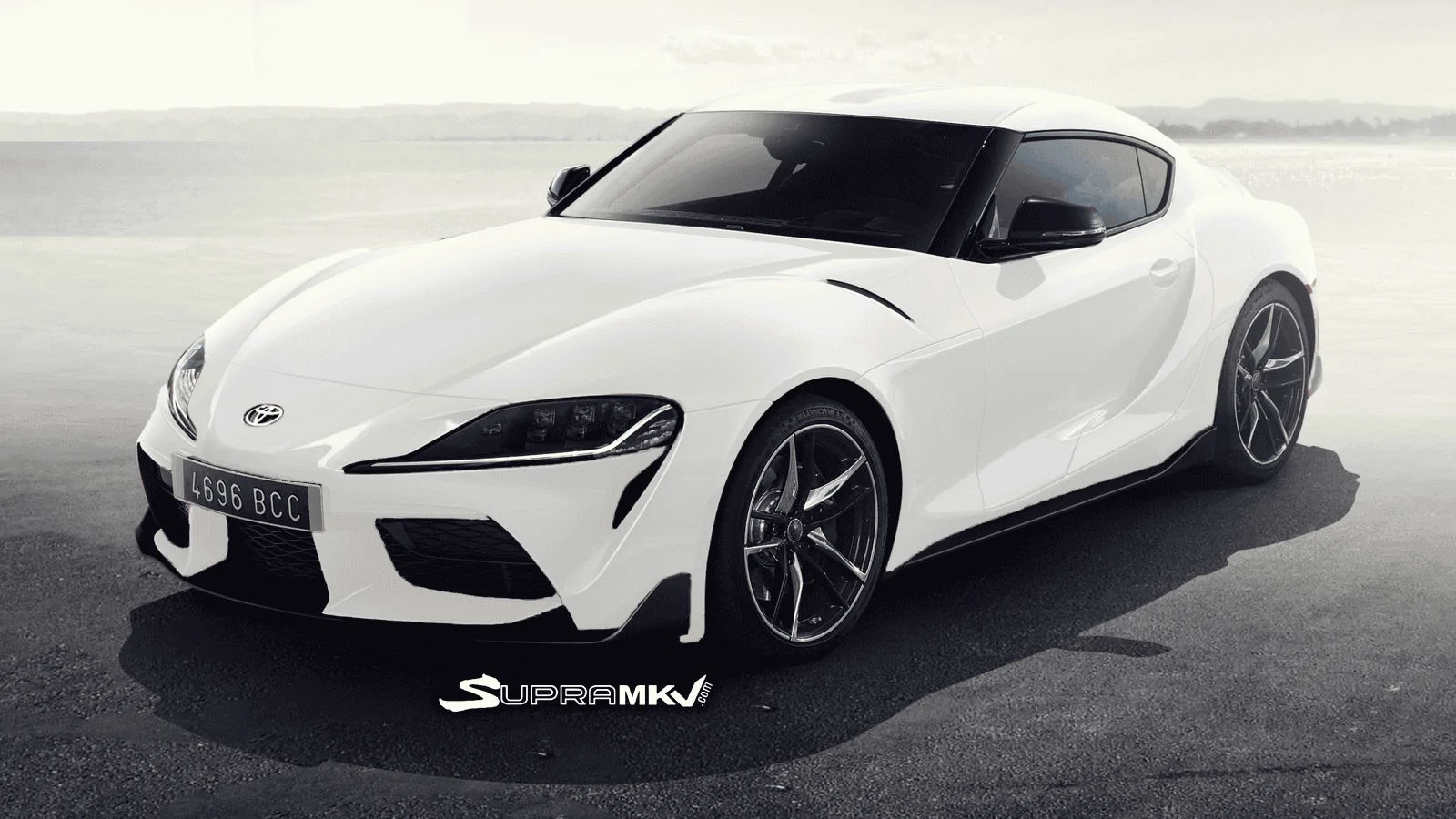 Pure White Supra Front.webp