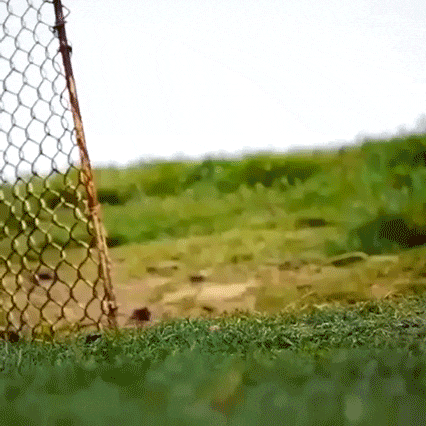 3A358B89-C80B-4179-9830-89808C9BC55B.gif