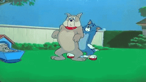 IMG_1853.gif