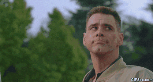 giphy (1).gif