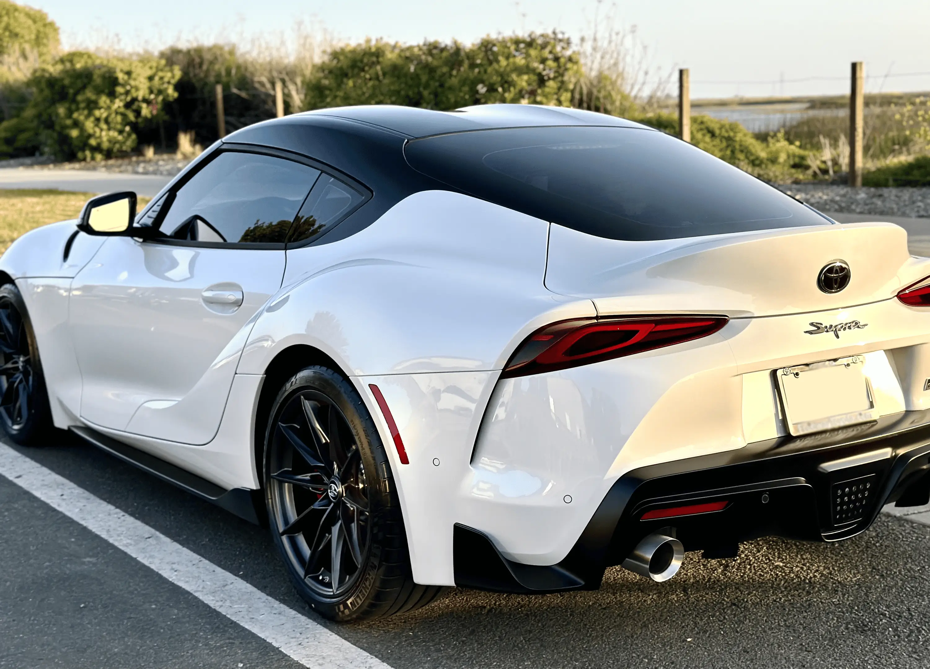 05312023 Supra Back.webp