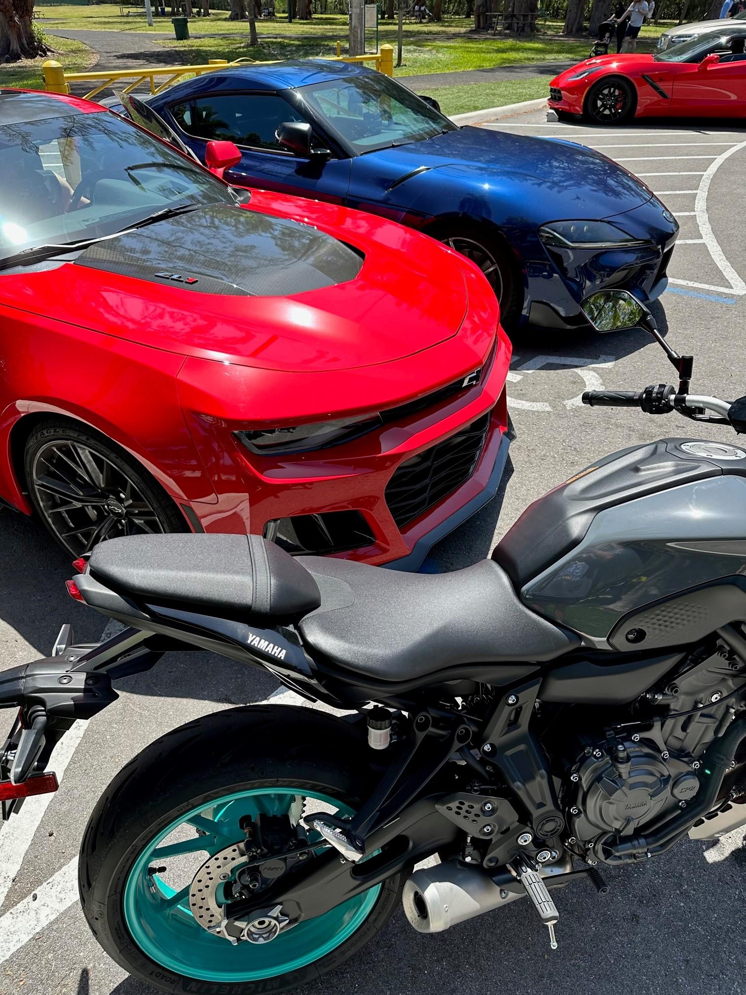 zl11.jpg