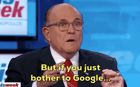 Rudy google it.gif