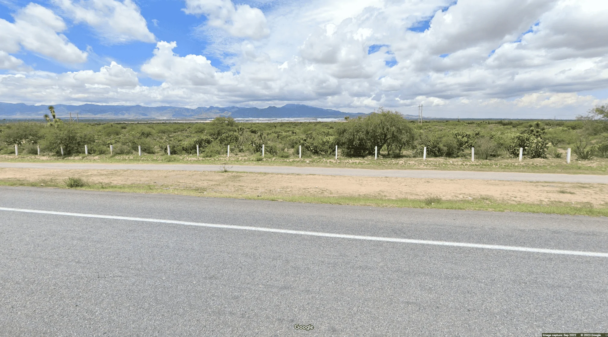 1689022058951.webp