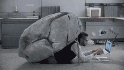 IMG_2066.gif