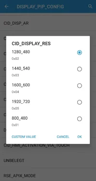 16 Example Display Resolution.jpg