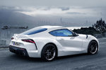 downloadfile-5.jpg