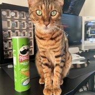 FeraL1