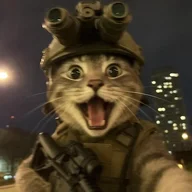 dustwhyn