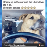 SupraPacer