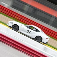 gowick86