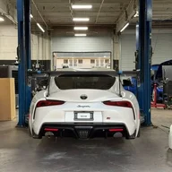 Supra Werty